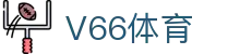 V66体育